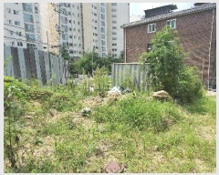  2021Ÿ��6832  ���ð��