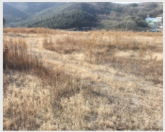  2021Ÿ��1349 ��� ���ֽ� ������ ����� ��55      ������