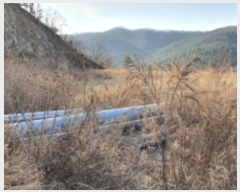  2021Ÿ��1349 ��� ���ֽ� ������ ����� ��55      ������