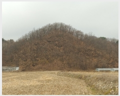  2021Ÿ��88087 ��� ��õ�� �ż��� �뱤�� ��112-6      ����(�Ӿ�)���