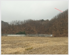  2021Ÿ��88087 ��� ��õ�� �ż��� �뱤�� ��112-6      ����(�Ӿ�)���