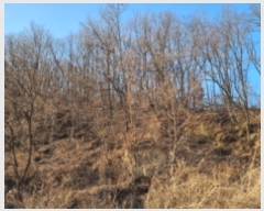  2021Ÿ��88087 ��� ��õ�� �ż��� �뱤�� ��112-6      ����(�Ӿ�)���