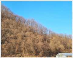  2021Ÿ��88087 ��� ��õ�� �ż��� �뱤�� ��112-6      ����(�Ӿ�)���