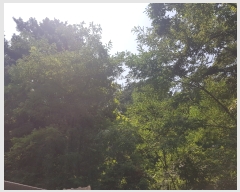  2021Ÿ��515069  �Ӿ߰��