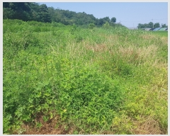  2021Ÿ��515069  �Ӿ߰��