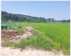  2021Ÿ��515069  �Ӿ߰��