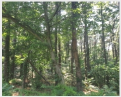  2021Ÿ��515069  �Ӿ߰��