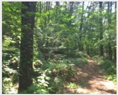  2021Ÿ��515069  �Ӿ߰��