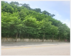  2021Ÿ516499 õ Ȧ ־ȵ 62-5       (Ӿ)