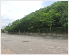  2021Ÿ516499 õ Ȧ ־ȵ 62-5       (Ӿ)