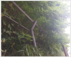  2021Ÿ516499 õ Ȧ ־ȵ 62-5       (Ӿ)