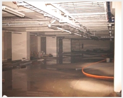  2021Ÿ7841 õ Ȧ ͵ 264-4 2201ȣ      ,繫ǰ