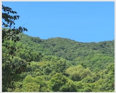  2021Ÿ4255  ֽ  792       (Ӿ)