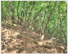  2021Ÿ4255  ֽ  792       (Ӿ)