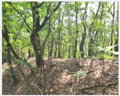  2021Ÿ4255  ֽ  792       (Ӿ)