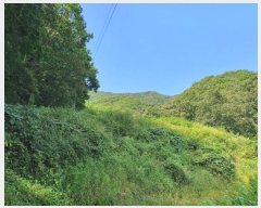  2021Ÿ4255  ֽ  792       (Ӿ)