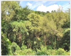  2021Ÿ4255  ֽ  792       (Ӿ)