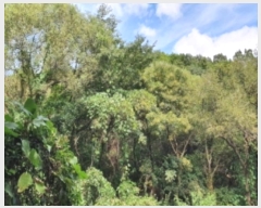  2021Ÿ4255  ֽ  792       (Ӿ)