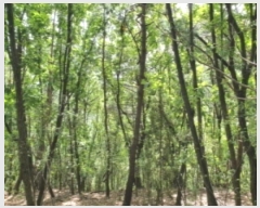  2021Ÿ4255  ֽ  792       (Ӿ)