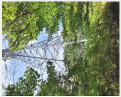  2021Ÿ4255  ֽ  792       (Ӿ)