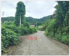  2021Ÿ��5173  �Ӿ߰��