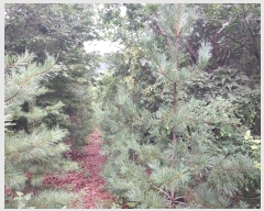  2021Ÿ��5173  �Ӿ߰��