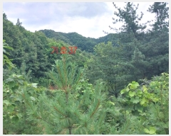  2021Ÿ��5173  �Ӿ߰��