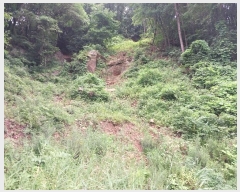  2021Ÿ��5173  �Ӿ߰��