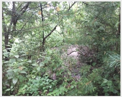  2021Ÿ��5173  �Ӿ߰��