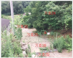  2021Ÿ��5173  �Ӿ߰��