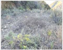  2021Ÿ5555  ֽ ̸  82-16      (Ӿ)