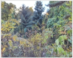  2021Ÿ5555  ֽ ̸  82-16      (Ӿ)