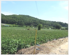  2021Ÿ��2931  �����