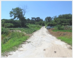  2021Ÿ��2931  �����