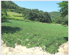  2021Ÿ��2931  �����