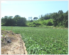  2021Ÿ��2931  �����