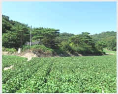  2021Ÿ��2931  �����