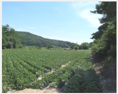  2021Ÿ��2931  �����