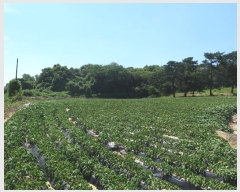  2021Ÿ��2931  �����