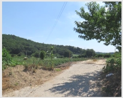  2021Ÿ��2931  �����