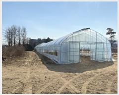  2021Ÿ��5923 ��� ���� ������ ��ٸ� 283      �ܵ�����,�����ð��