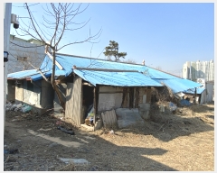  2021Ÿ��5923 ��� ���� ������ ��ٸ� 283      �ܵ�����,�����ð��