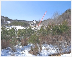  2021Ÿ30541   õ  243-1      (Ӿ)