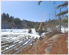  2021Ÿ30541   õ  243-1      (Ӿ)