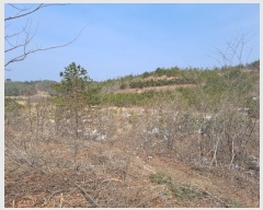  2021Ÿ30541   õ  243-1      (Ӿ)