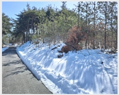  2021Ÿ30541   õ  243-1      (Ӿ)