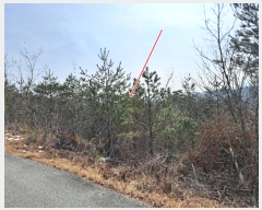  2021Ÿ30541   õ  243-1      (Ӿ)