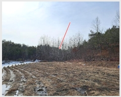  2021Ÿ30541   õ  243-1      (Ӿ)