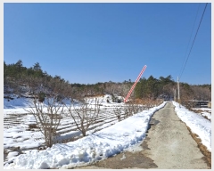  2021Ÿ30541   õ  243-1      (Ӿ)