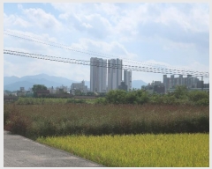  2021Ÿ��2761  ����